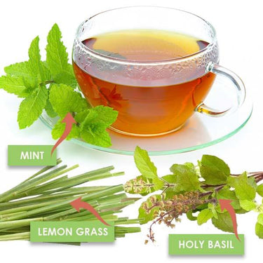Healthy Plant Brew